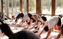 Yoga Place Spa Gift — Кэмпы на природе YOGA PLACE CAMP (Йога Плейс Кэмп) – Цены - фото