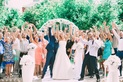 Mongolova Wedding (Организация и проведение свадьбы) – отзывы - фото