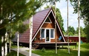 Треугольные домики с сауной «Три лисы» - фото