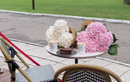 Летняя кофейня VB cafe (ВБ кафе) - фото