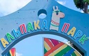 Ферма «Альпака Парк» - фото