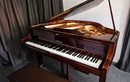 Обучение игре на фортепиано — Школа музыки для всей семьи MASTERS (Мастерс) – Цены - фото