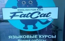 Курсы английского языка Fat Cat English (Фэт Кэт Инглиш) - фото