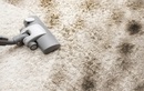 Химчистка «Чистим ковры» - фото