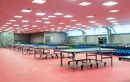 Клуб настольного тенниса «King Pong Club (Кинг Понг Клаб)» - фото