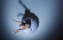Индивидуальные занятия — Школа балета  32 Fuete (32 Фуэте) – Цены - фото