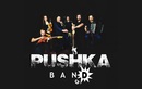 Кавер-группа «Pushka Band (Пушка Бэнд)» - фото