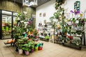 Цветочный салон LION (Лион) - фото