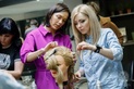 Услуги — Учебный центр: курсы для парикмахеров и барберов, семинары и мастер-классы Cosmico.pro (Космико про) – Цены - фото