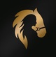 Логотип Конный клуб «Перфекто» - фото лого