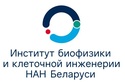 Логотип Отделение клеточной терапии Института биофизики и клеточной инженерии НАН Беларуси – фотогалерея - фото лого