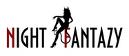 Логотип Стриптиз-клуб Night Fantazy (Ночные Фантазии) - фото лого