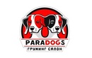 Логотип Джек-рассел-терьер — Груминг-салон ParaDogs (ПараДогс) – Цены - фото лого