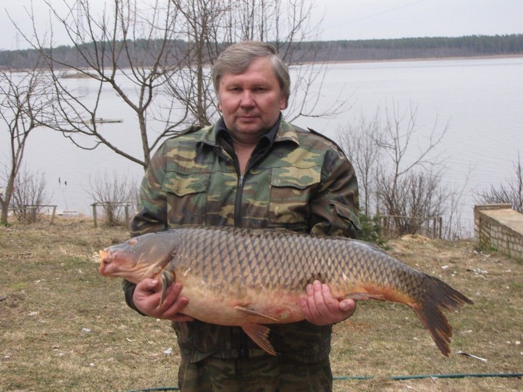 Рыбацкий Дворик Интернет Магазин Украина