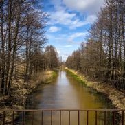 Полесский радиационно-экологический заповедник - фото 3