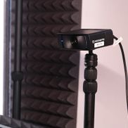 Кедр - фото 6