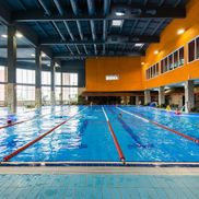 Мандарин - фото 3