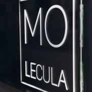 Molecula - фото 5