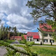 Чайка - фото 5