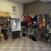 Dog and Cat - фото 6