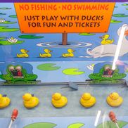 Mi mi land - фото 2