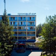 Сосновый бор - фото 3