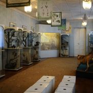 Мозырский замок - фото 3