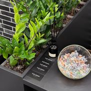 THE BAZA - фото 4