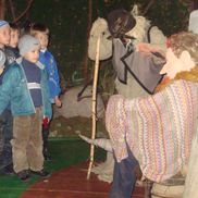 Детский музей мифологии и леса - фото 2