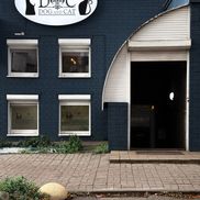 Dog and Cat - фото 2