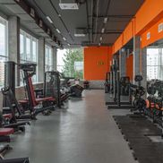 Мандарин - фото 5