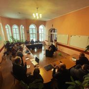 Кинония - фото 3