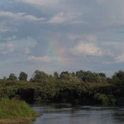 Птичь - фото 5