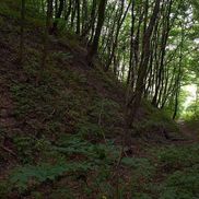 Стоянка первобытных людей - фото 2