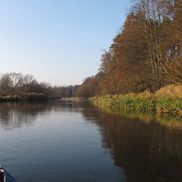 Неман - фото 2
