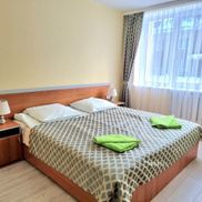 Чайка - фото 2