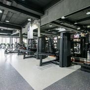 Мандарин - фото 2