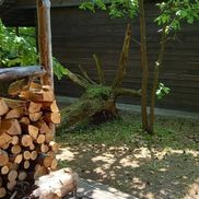 Обидуха - фото 3