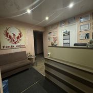 Феникс - фото 2