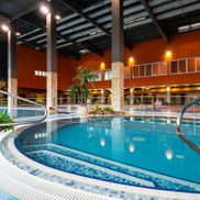 Мандарин - фото 6