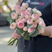 Dolinaroz - фото 2