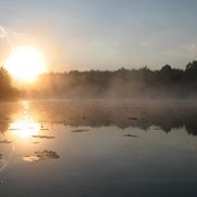 Река Березина - фото 3