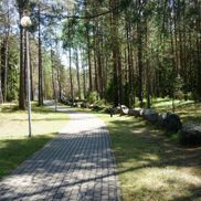 Усадьба Дзержиново - фото 6