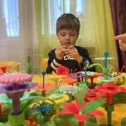 Развивай-КА - фото 4