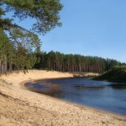 Река Березина - фото 2