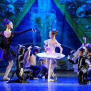 Вежновец - фото 6