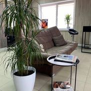 Ns Beauty Studio - фото 4