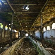 Поместье Рейтанов - фото 5