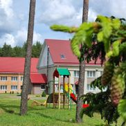 Чайка - фото 4