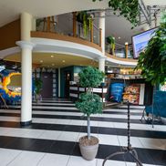 Мзиури - фото 3